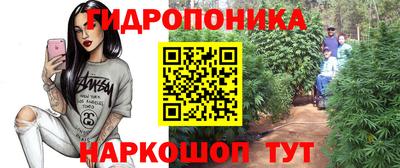 мдпв Партизанск