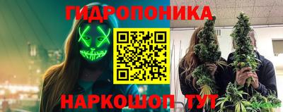 мдпв Партизанск