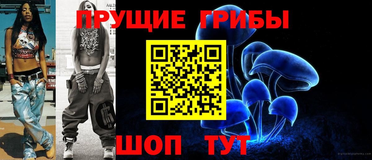 Галлюциногенные грибы прущие грибы  Вход с VPN  Соль-Илецк 